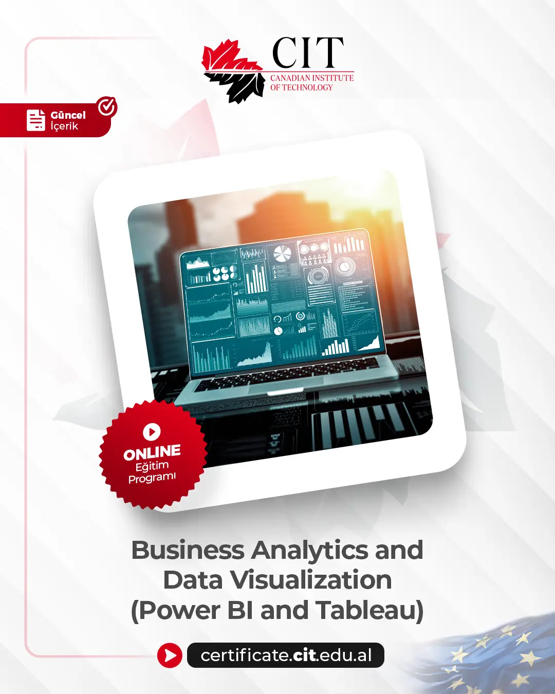 Business Analytics and Data Visualization (Power BI and Tableau)
