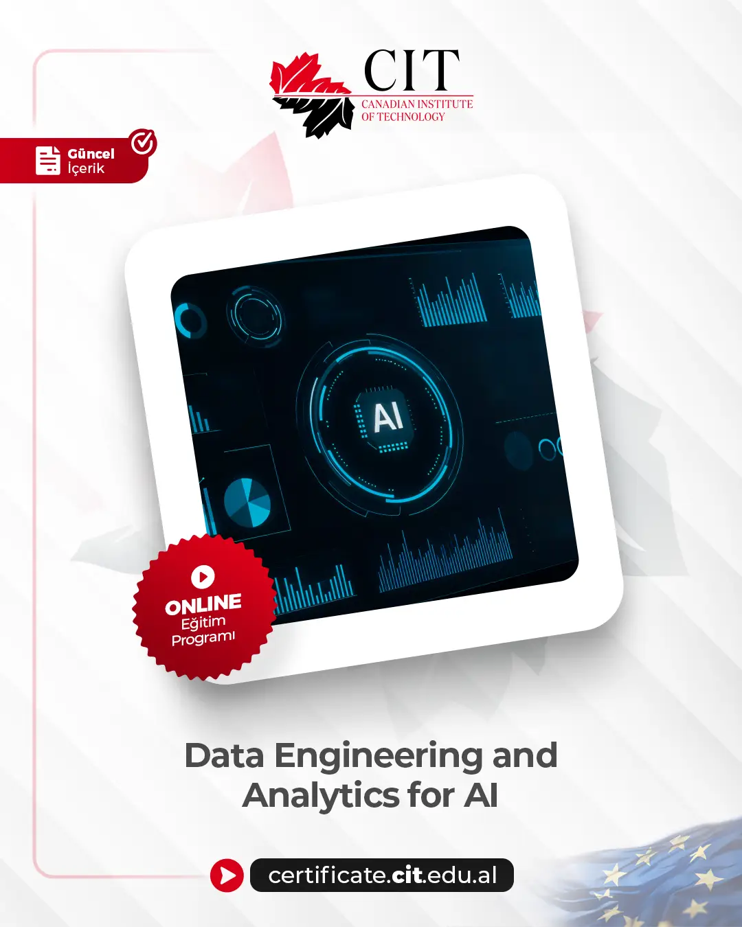 Data Engineering and Analytics for AI