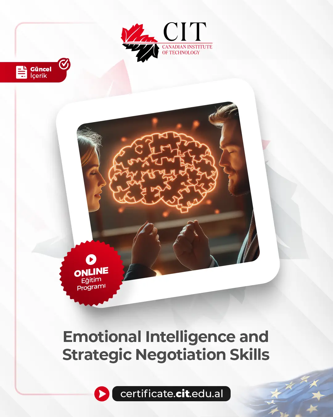 Emotional Intelligence and Strategic Negotiation Skills