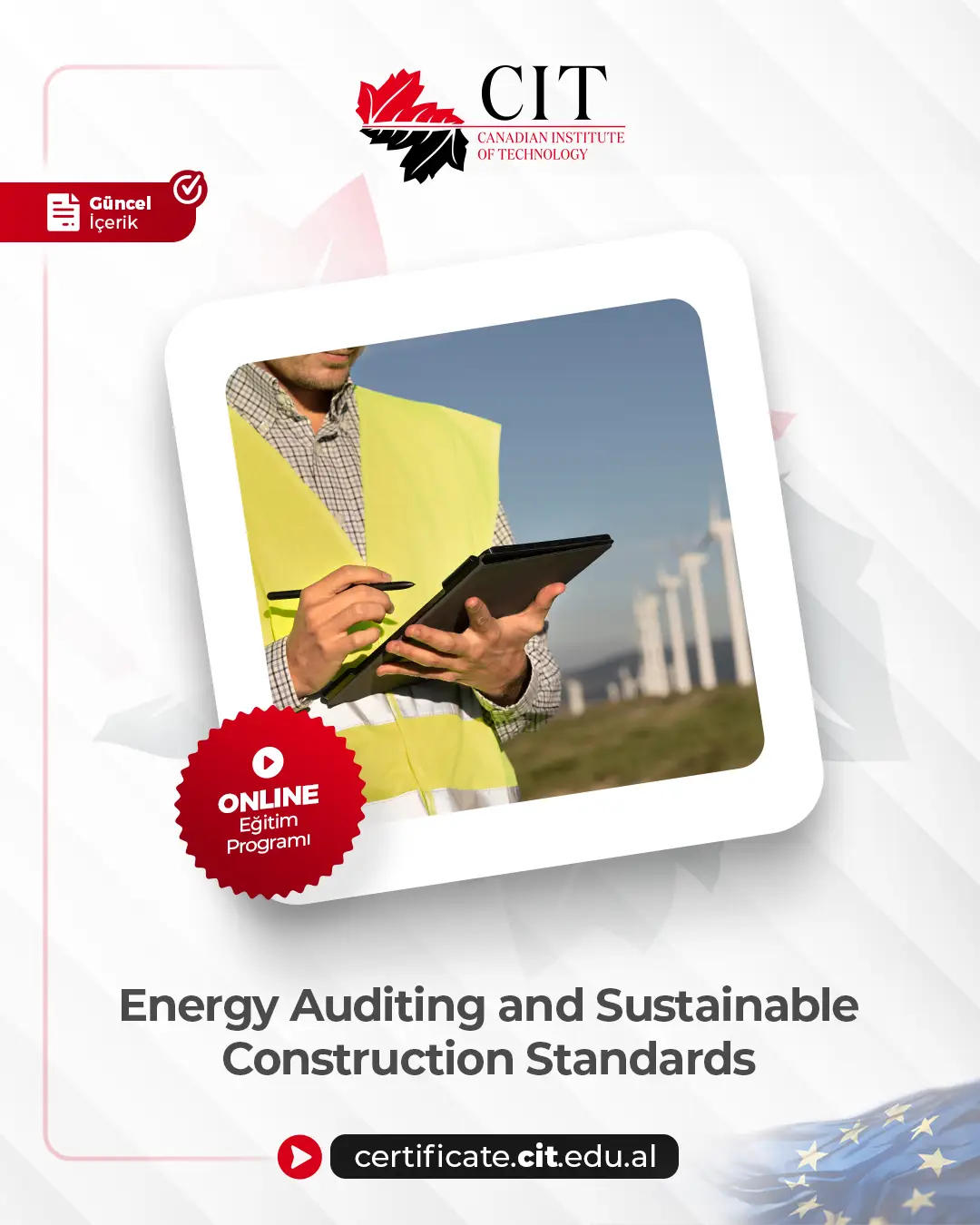 Energy Auditing and Sustainable Construction Standards