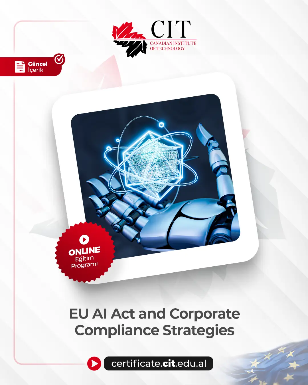 EU AI Act and Corporate Compliance Strategies