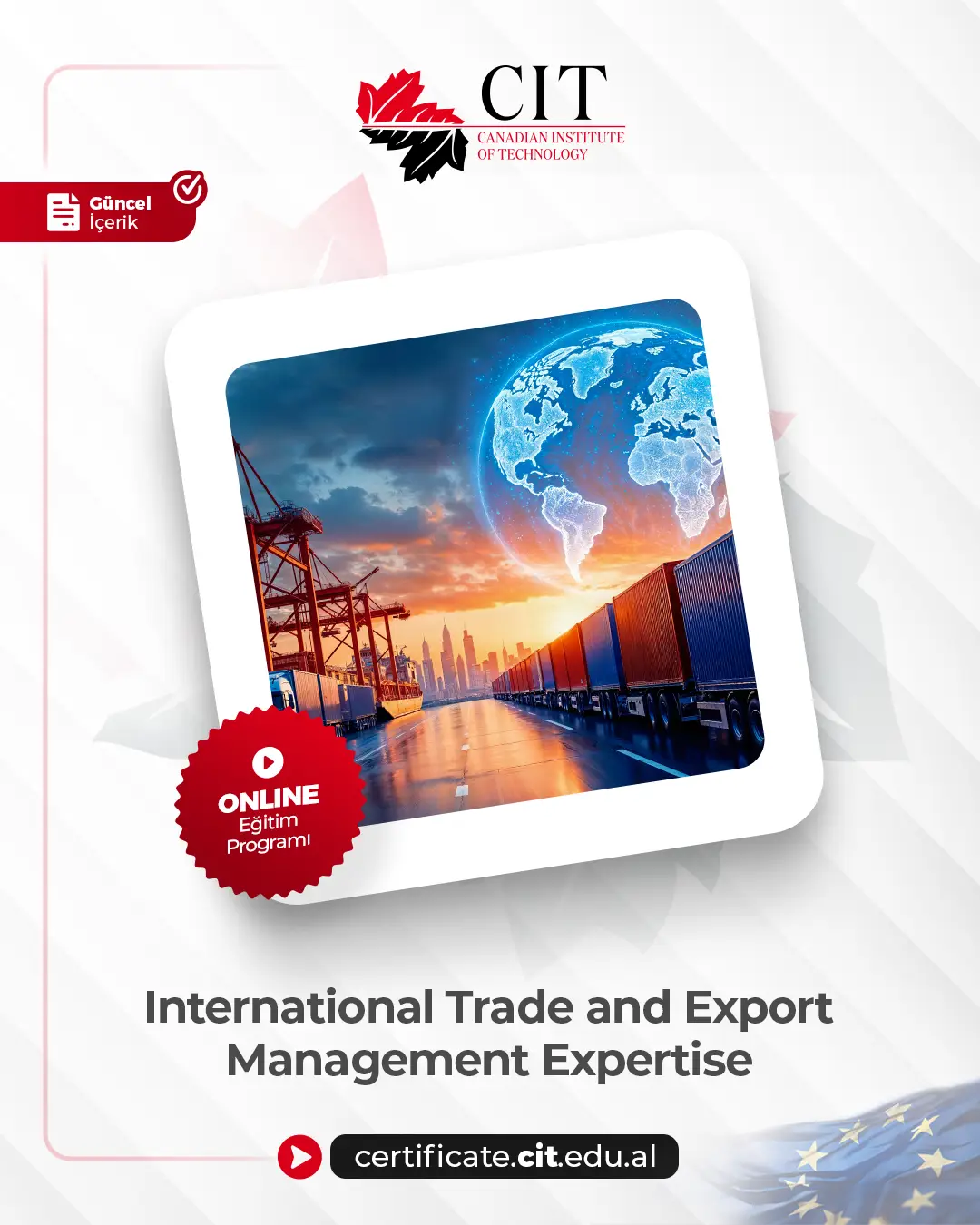 International Trade and Export Management Expertise