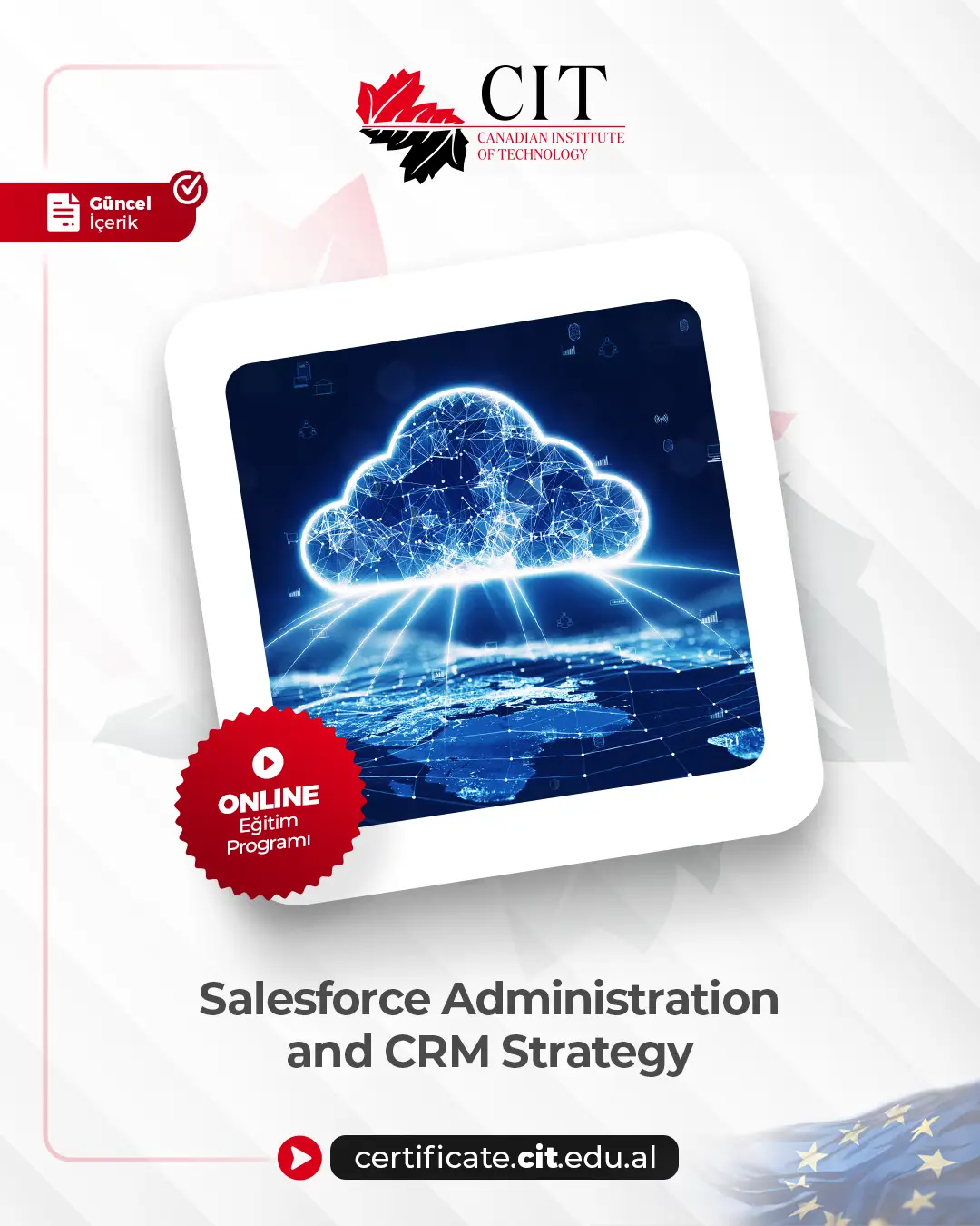 Salesforce Administration and CRM Strategy