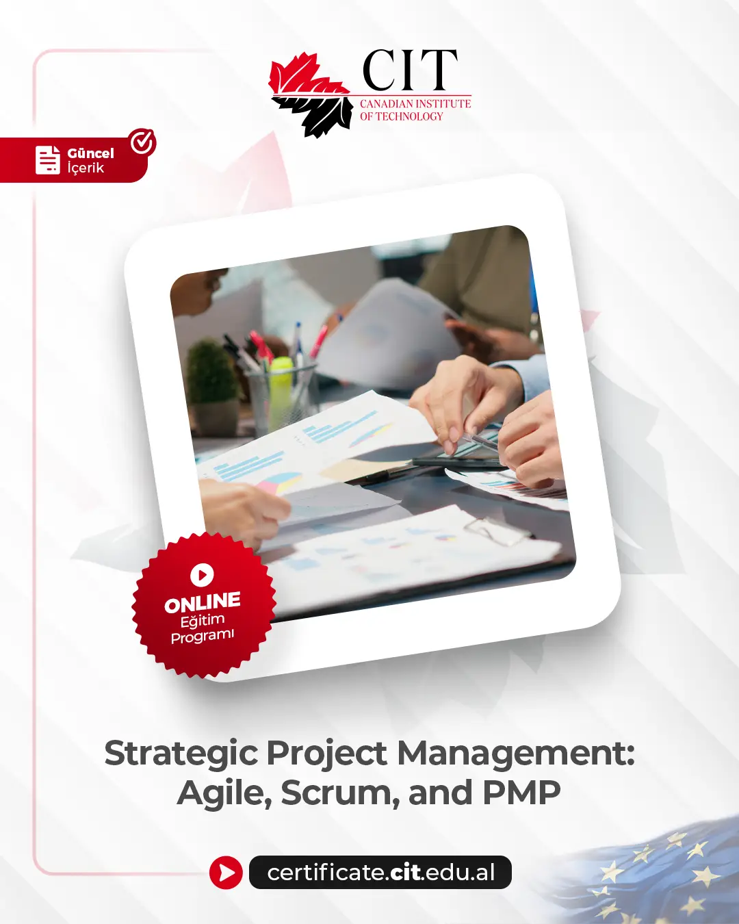 Strategic Project Management: Agile, Scrum, and PMP